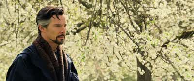 - You never told me her name, did you? - Doctor Strange in the Multiverse of Madness