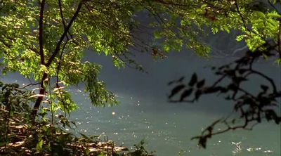 You notice the leaves - An Inconvenient Truth
