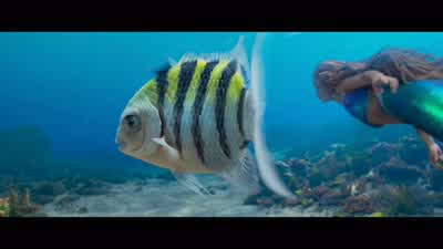 You okay, Flounder? - The Little Mermaid