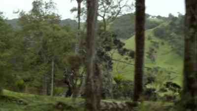 You okay? - The Brokenwood Mysteries