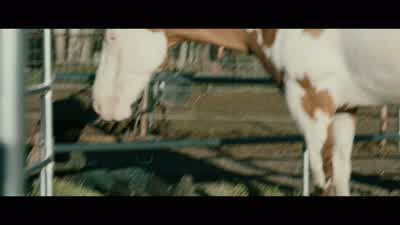 - You okay? - Wind River
