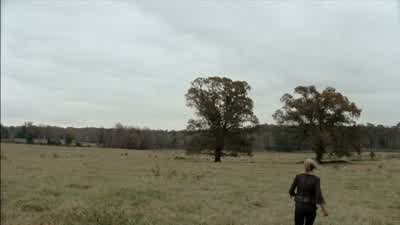 You've all been very productive. - The Walking Dead