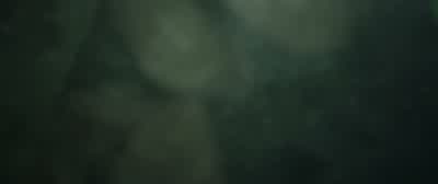You okay? - Crawl