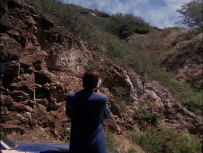 YOU, ON TOP OF THE HILL. - Hawaii Five-0