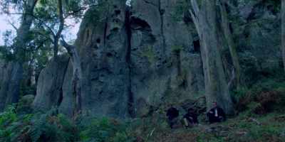 You-- you only been here
this once. - Picnic at Hanging Rock