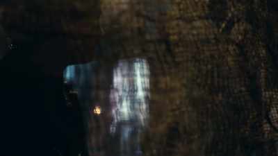 -You owe him this.
-Swive thee! - Will