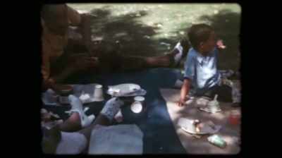 You packed shoebox lunches
with fried chicken. - The Green Book: Guide to Freedom