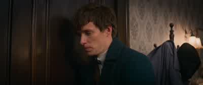 You prefer strudel, huh, honey? - Fantastic Beasts and Where to Find Them