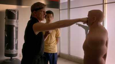 You punch through the bone, - Cobra Kai