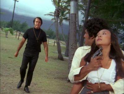 YOU PUNK. - Hawaii Five-0
