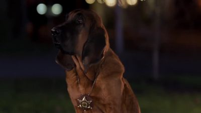 You pups wanna sing along - Santa Buddies
