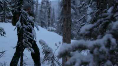 You put all that together, - Life Below Zero: Next Generation