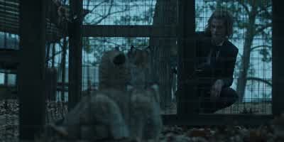 You ready? - Ozark