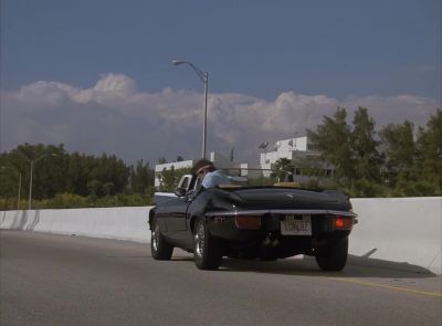 You ready for us
to bring them in? - Miami Vice