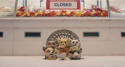 You really are kind of a quote unquote fantastic fox - Fantastic Mr  Fox
