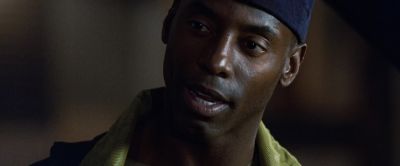 You really beat a suspect unconscious with a dead cat - Exit Wounds