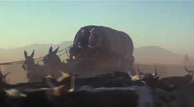 You really got the itch, ain't ya? - The Culpepper Cattle Co