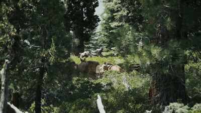 You really need to know
which trails to get here. - Missing 411: The Hunted