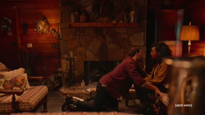 You really need to stop watching
that shit before you go to bed - Adult Swim Yule Log
