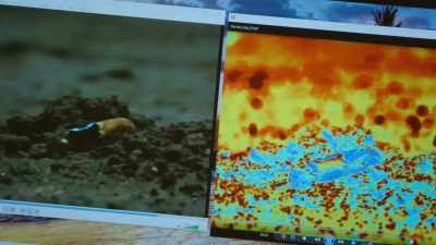 You really put the system
to its limits today. - Attenborough's Life in Colour