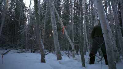 You really should do
everything you can to learn - Life Below Zero: Next Generation