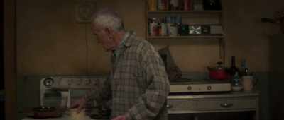 You really shouldn't have fried
anything right now, Dad. - Falling