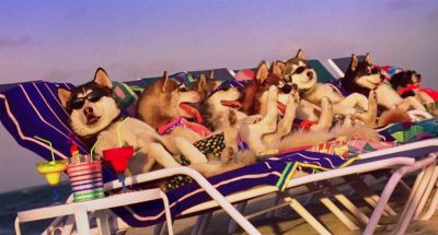 You really stepped in it this time - Snow Dogs