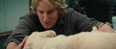 You remember how we were always saying what a pain you are - Marley &amp; Me