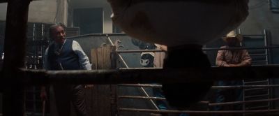 You remember
my prize breeding bull. - 2 Guns