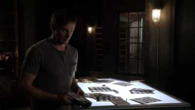 You remember the bird
that flew into the window? - Damien