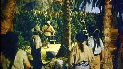              You. - Robinson Crusoe