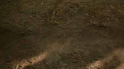 You said the creatures were after a knife - that you had sent far away. - Legacies