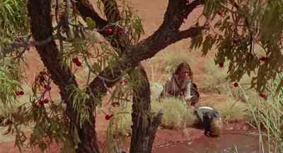 You said you were too tired to walk. - Walkabout