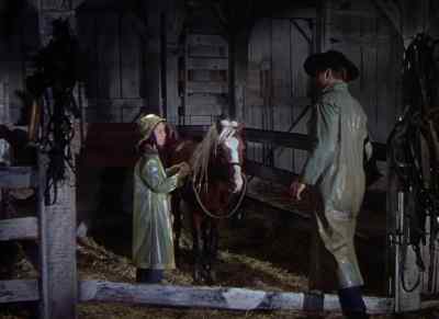 You said
you'd put him in. - The Red Pony