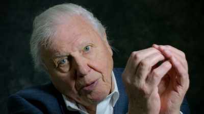 You saw a blue marble, - David Attenborough: A Life on Our Planet