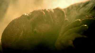 You say that
in destroying Darken Rahl, - Legend of the Seeker