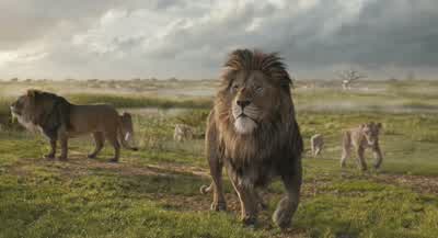 You say you're the kingBut you lie around in the shadeOut of shape unafraidThe moon cuts a path through the skyBy night or by dayIt doesn't obeyAnd neither do IYou took my sonI hope you can run'Cause I'm going to be the last thing you seeBefore you go bye - Mufasa: The Lion King