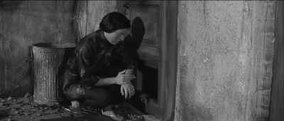 You scratched my hand. - Curse of the Fly
