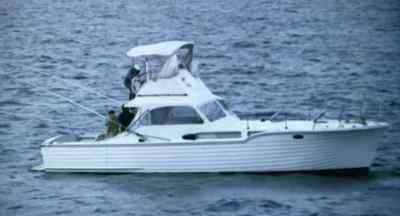 - You see a fin?
- Not yet. - Mako: The Jaws of Death