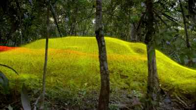 You see, Albert,
this is the main building - Lost Treasures of the Maya