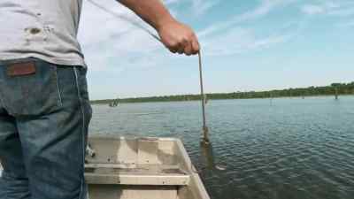           You see him? - Swamp People