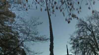 You see how narrow that is? - Falling Skies