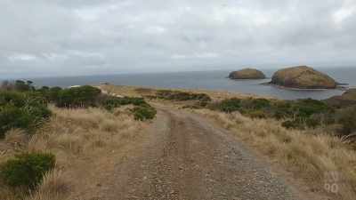 You see how the wind
has pushed all the plants flat. - Miriam Margolyes: Australia Unmasked