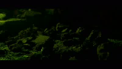 You see it? - Black Hawk Down