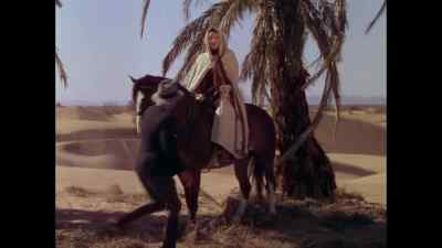 You see? It's not a mirage, it's real. - The Garden of Allah