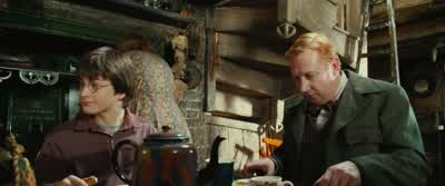 You see? - Harry Potter and the Chamber of Secrets