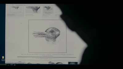 You see, Jastrow observed that
people were more likely to see - The Capture