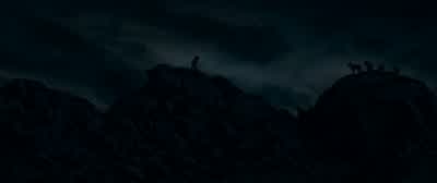 You see that one? - Alpha