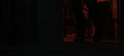 You see, over eons, - Guillermo del Toro's Cabinet of Curiosities