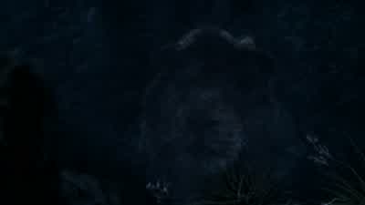 You see? - The Lion King